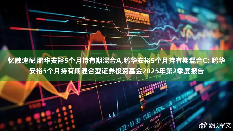 忆融速配 鹏华安裕5个月持有期混合A,鹏华安裕5个月持有期混合C: 鹏华安裕5个月持有期混合型证券投资基金2025年第2季度报告